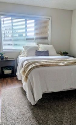 FURNISHED ROOM FOR RENT IN ESTABLISHED NEIGHBORHOOD