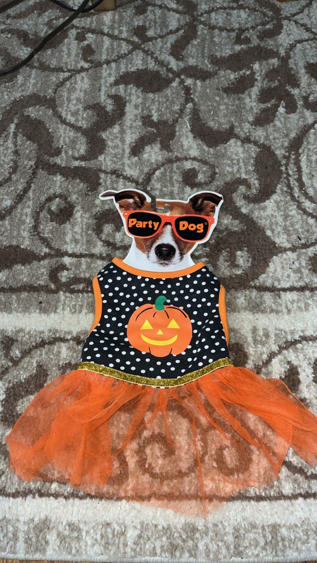 Dog Out Fit Halloween π