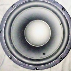 10" Subwoofer with Large Magnet Structure 