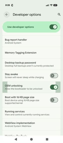 Pixel 9 Unlocked Graphene Os // Prison phone