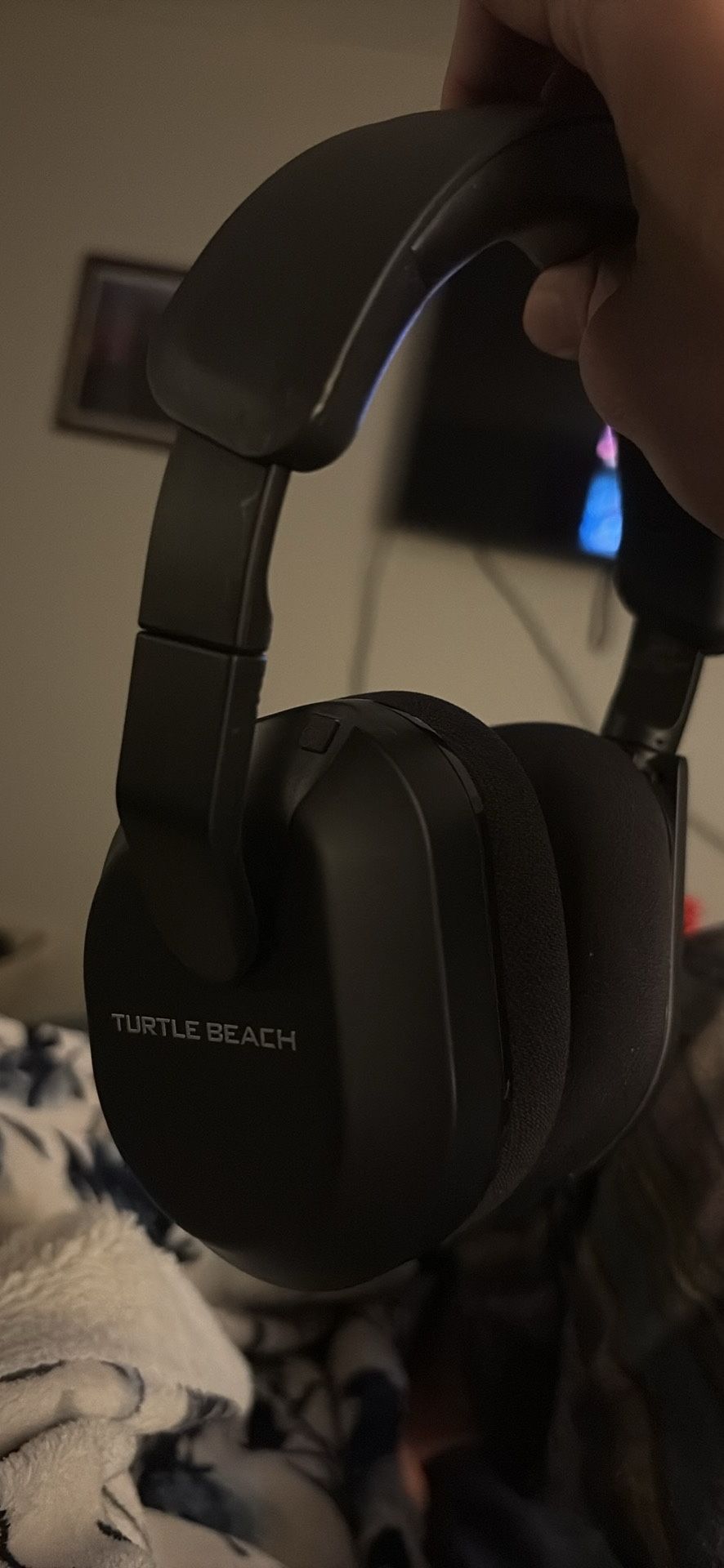 Turtle Beaches