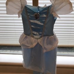Cinderella Costume