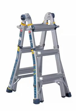 Multi position Werner ladder