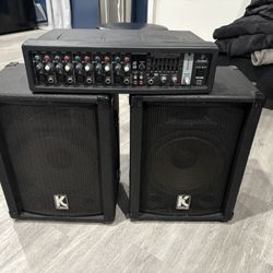 Kustom KSC10 PA Passive Speakers