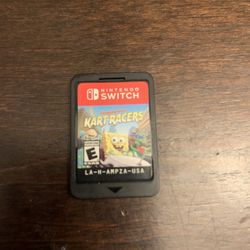 Kart Races Nintendo Game