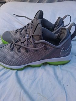 Lebron XIV low dunkman