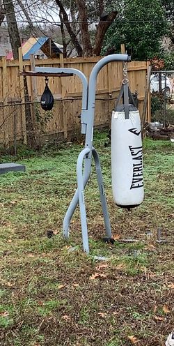 Punching bag and speed bag