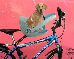 Front basket for dog bikes,Dog bike seat,Includes a safety leash. Up To 22LBS