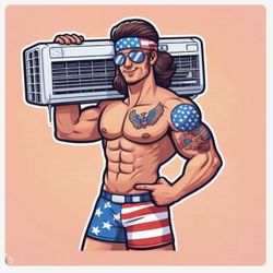 Veteran Owned Mini Splits Inverter Heat Pumps 