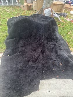 Black Rug 