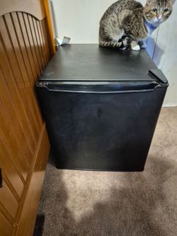 Mini Fridge