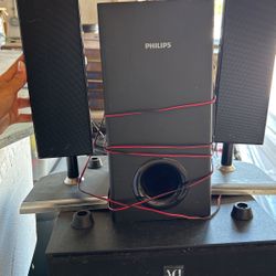acoustic speaker system 