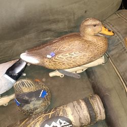 Duck Decoy 
