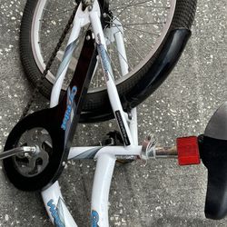 Bike Attachment 