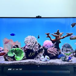 [sale] 55 Inch LG UHD 4K TV With Sync Back Lights