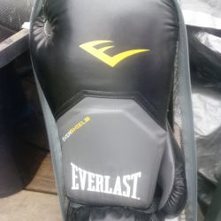 Everlast Gloves