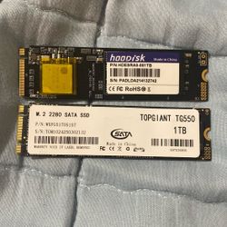 1TB SSDs ($30 per)