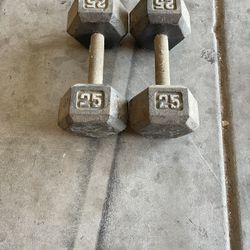 25lb Dumbbells 