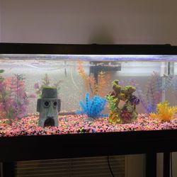 Fish Tank 20 Gallon Long 