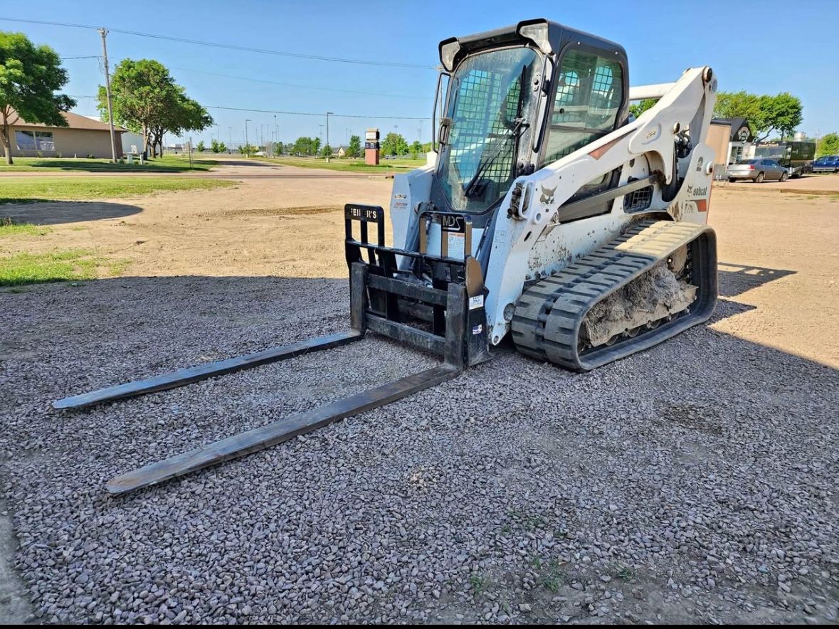 Bobcat