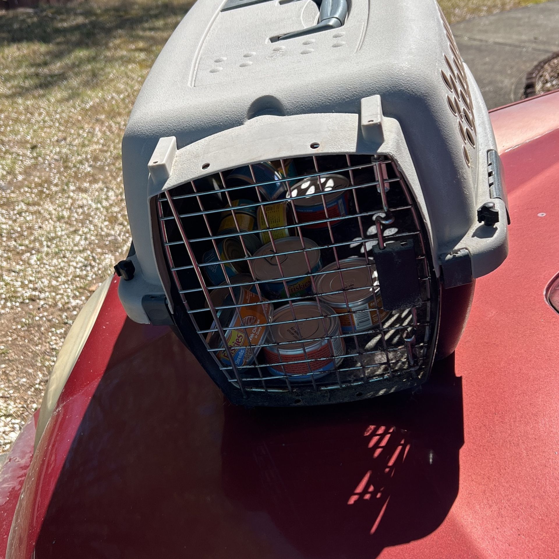 Cat Cage