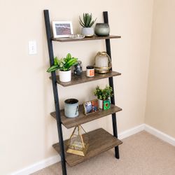4 Shelf Ladder Bookshelf