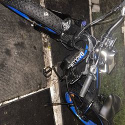 Baqloujie Electric Bike 