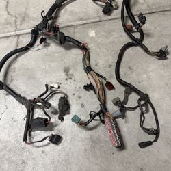 Foxbody Ecu Harness