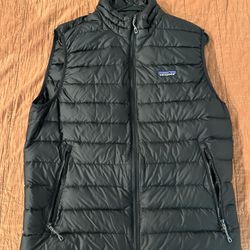 Patagonia Down Sweater Best
