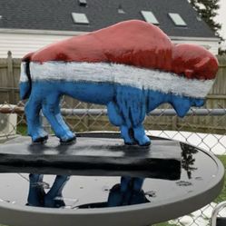 Red white and blue buffalo
