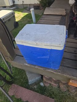 Cooler