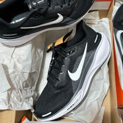 Nike Pegasus 41