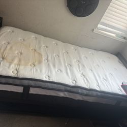 Free Pull Out Bed With Mattress 