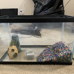 Fish Tank and Extras 