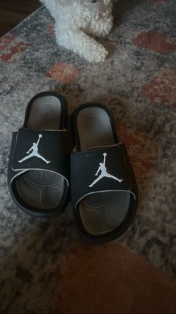 10.5 Jordan Slices and White Puma