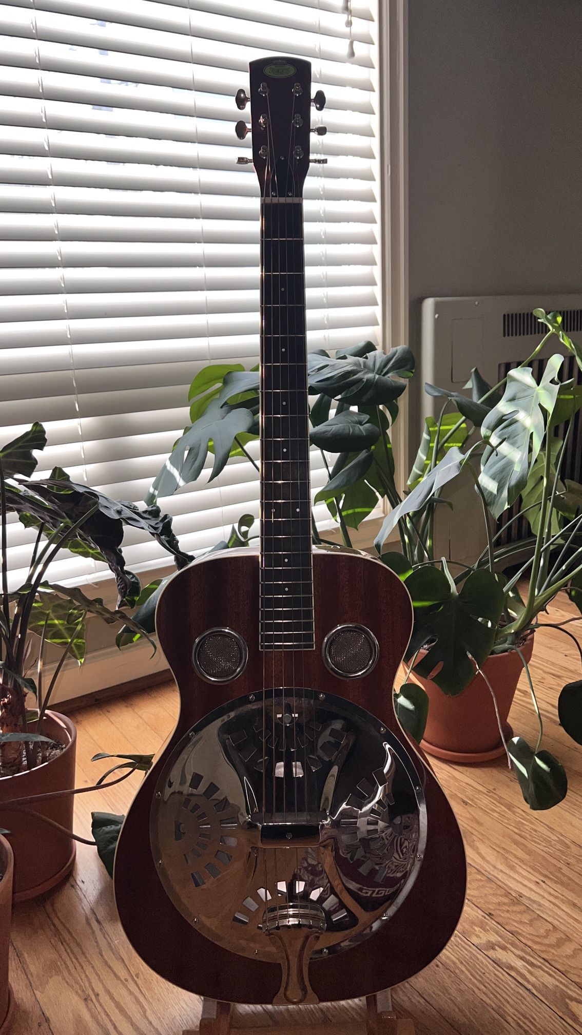 Regal Resonator Guitar
