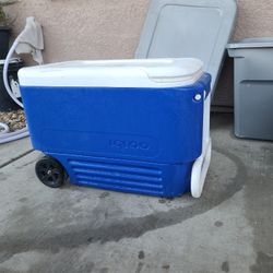 Igloo Roller Cooler
