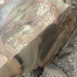  🌳 Exotic Burl Wood – Perfect for Woodturning & Crafts