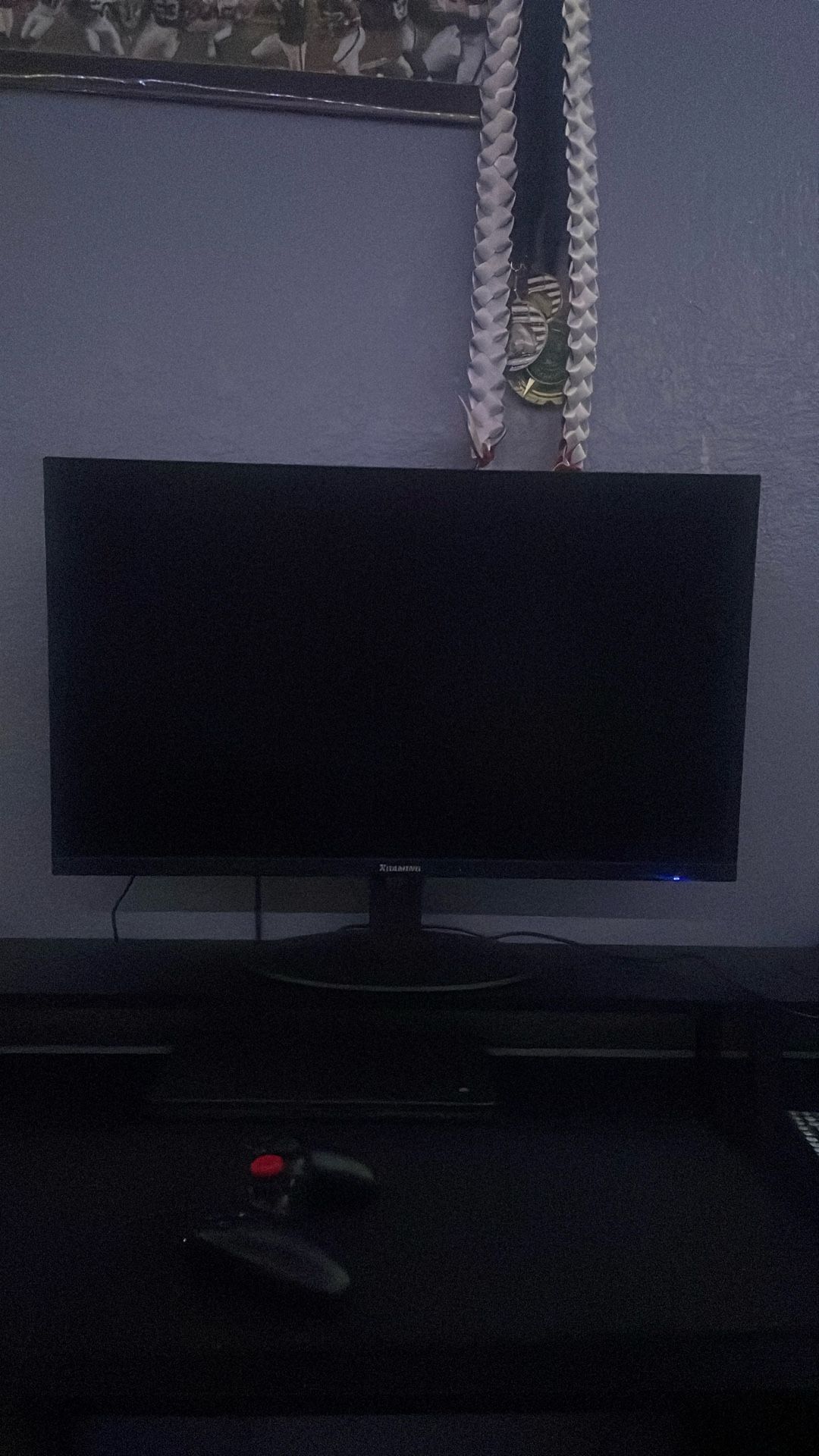Gaming Monitor