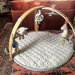 Baby Gym