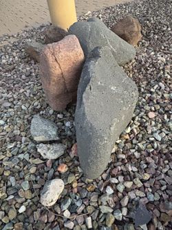 Free Landscaping Boulders & Decorative Tree Roots