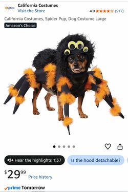 Spider dog costume size large