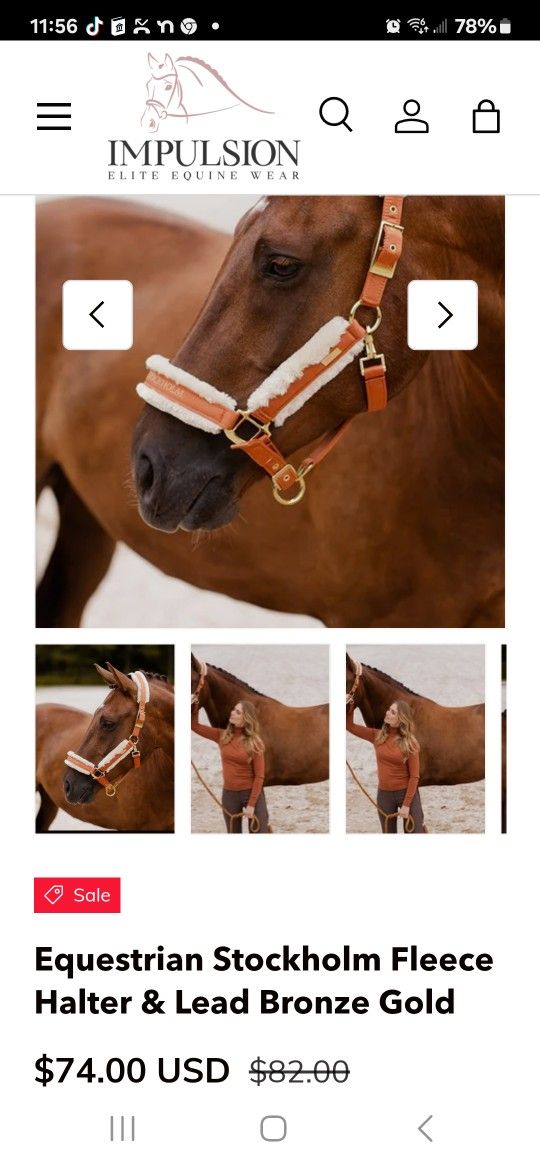 Horse Halter