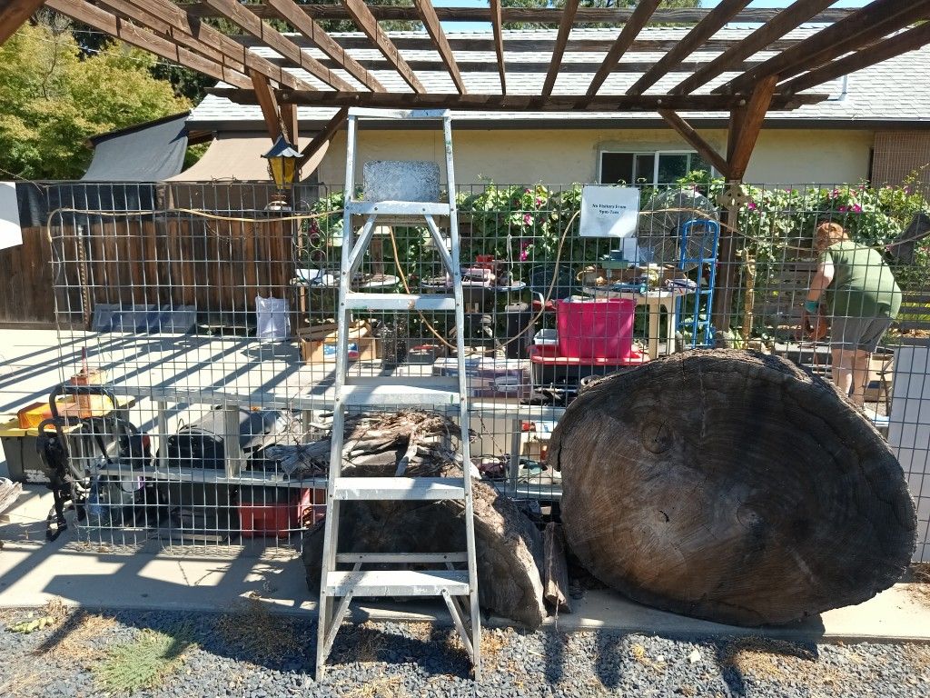 Ladder