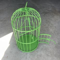 Bird Cage 