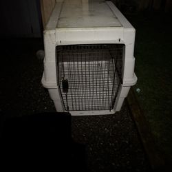 Dog Kennel