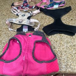 Dog accessories