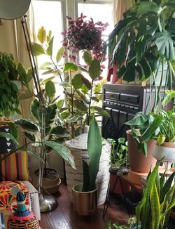 Mid Century Modern Gold Planter With Plant Stand