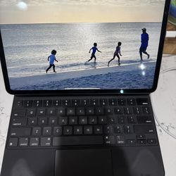 iPad Pro 12.9” (4th Gen, WiFi + Cellular)