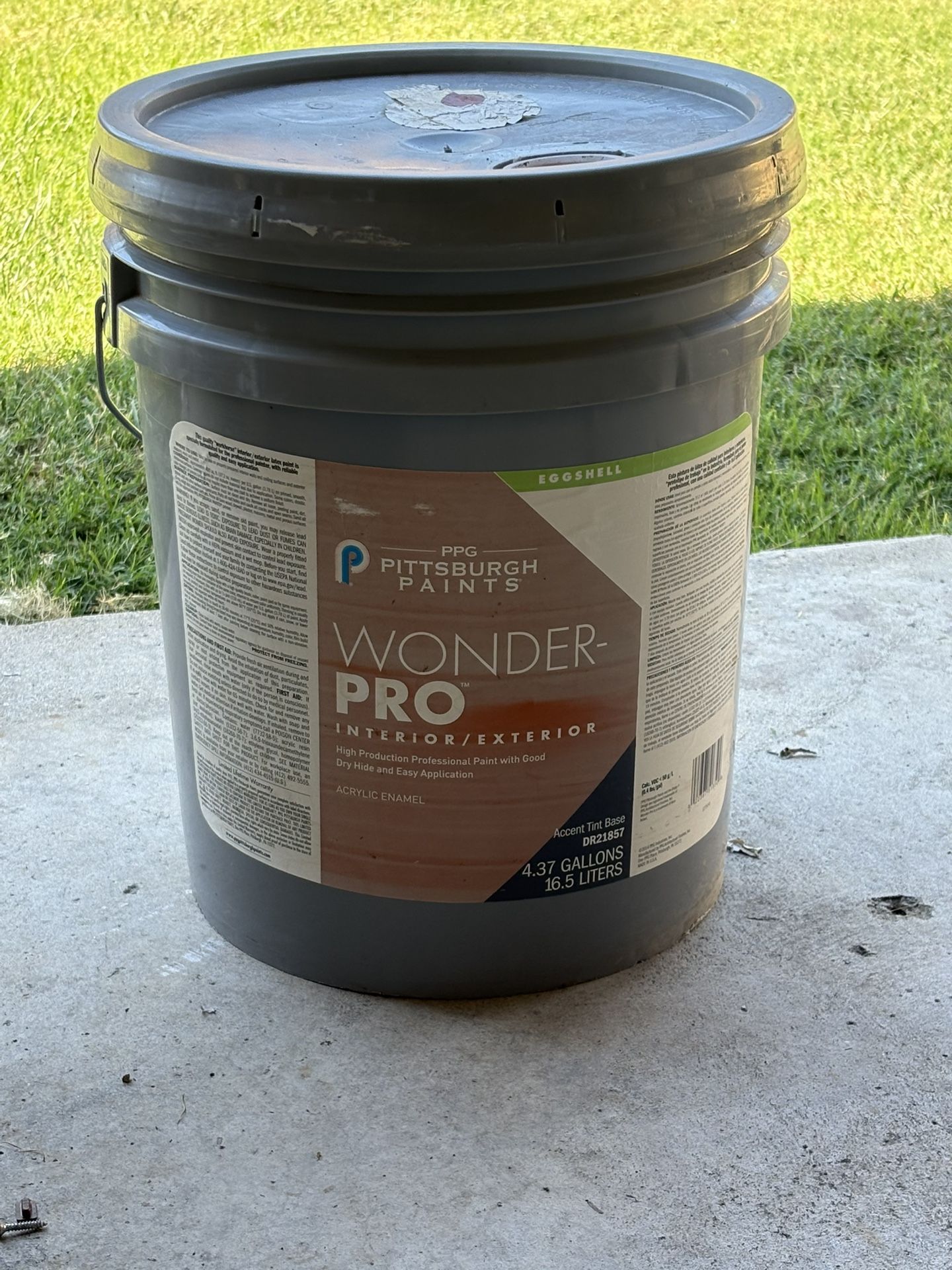 5GL Eggshell Paint